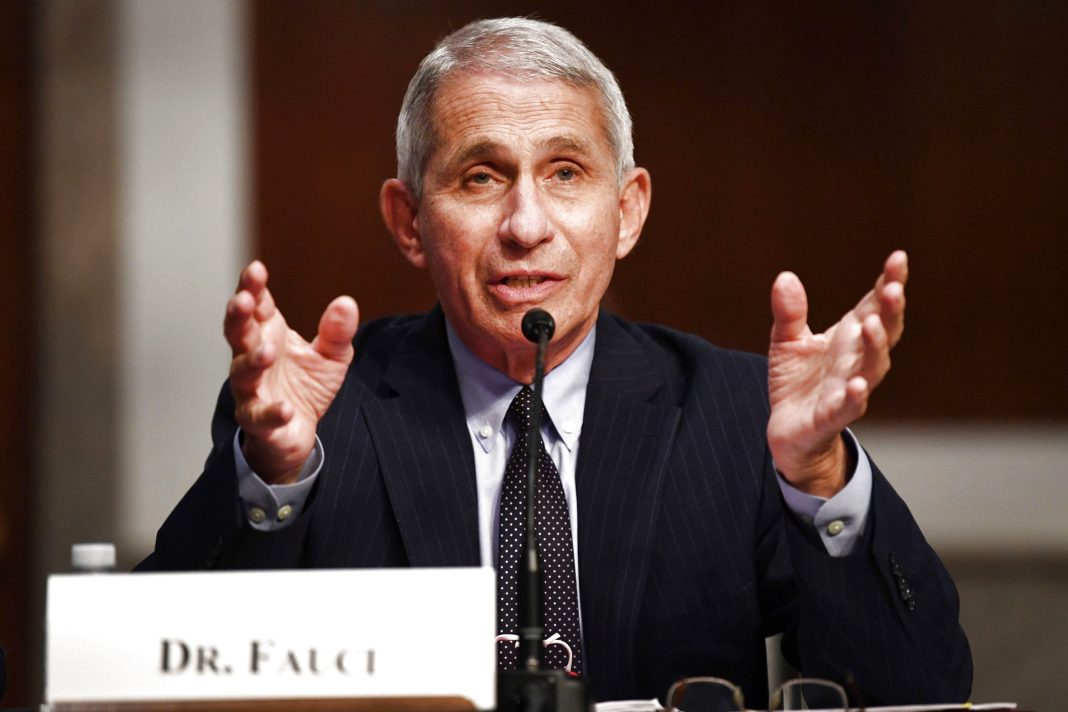 Fauci warns U.S. cases may 'plateau again at an unacceptably high level'