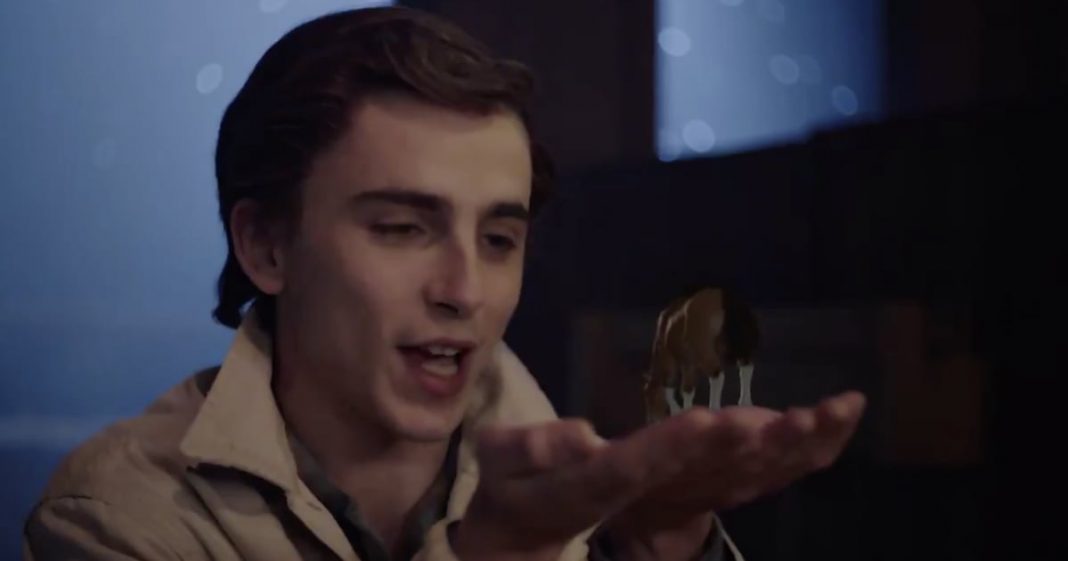 SNL: Watch Timothée Chalamet Sing to a Tiny Horse | Video