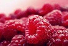 Aging Happens Faster with Poor Diet and no Exercise