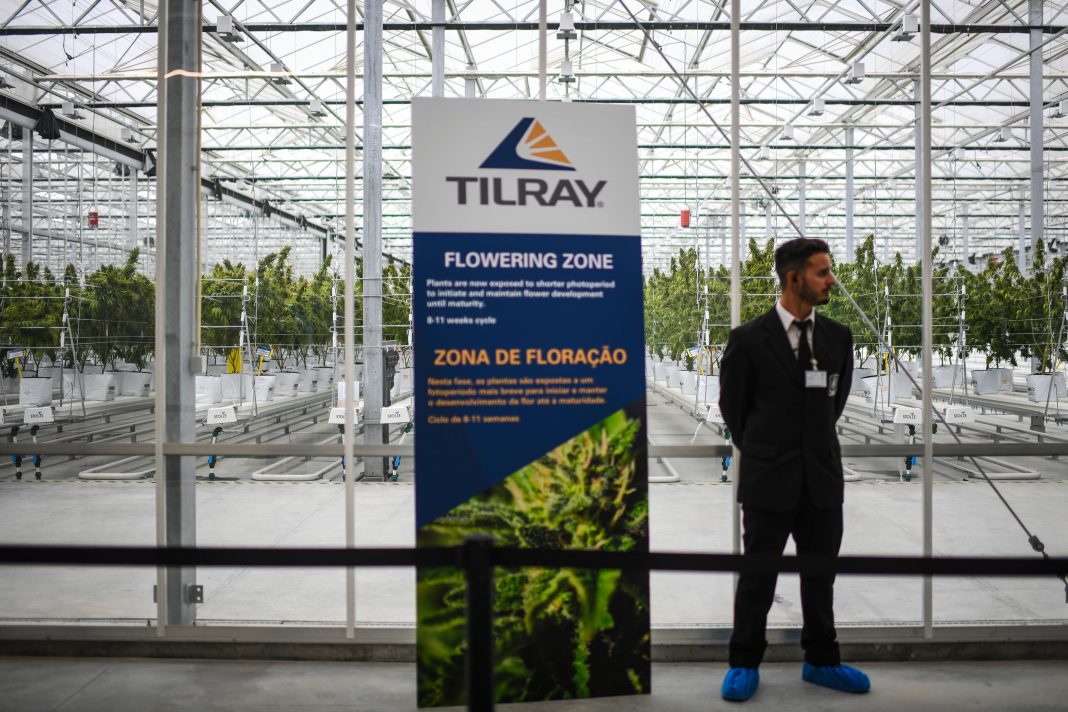 Tilray stock rallies on pot distribution agreement with Grow Pharma