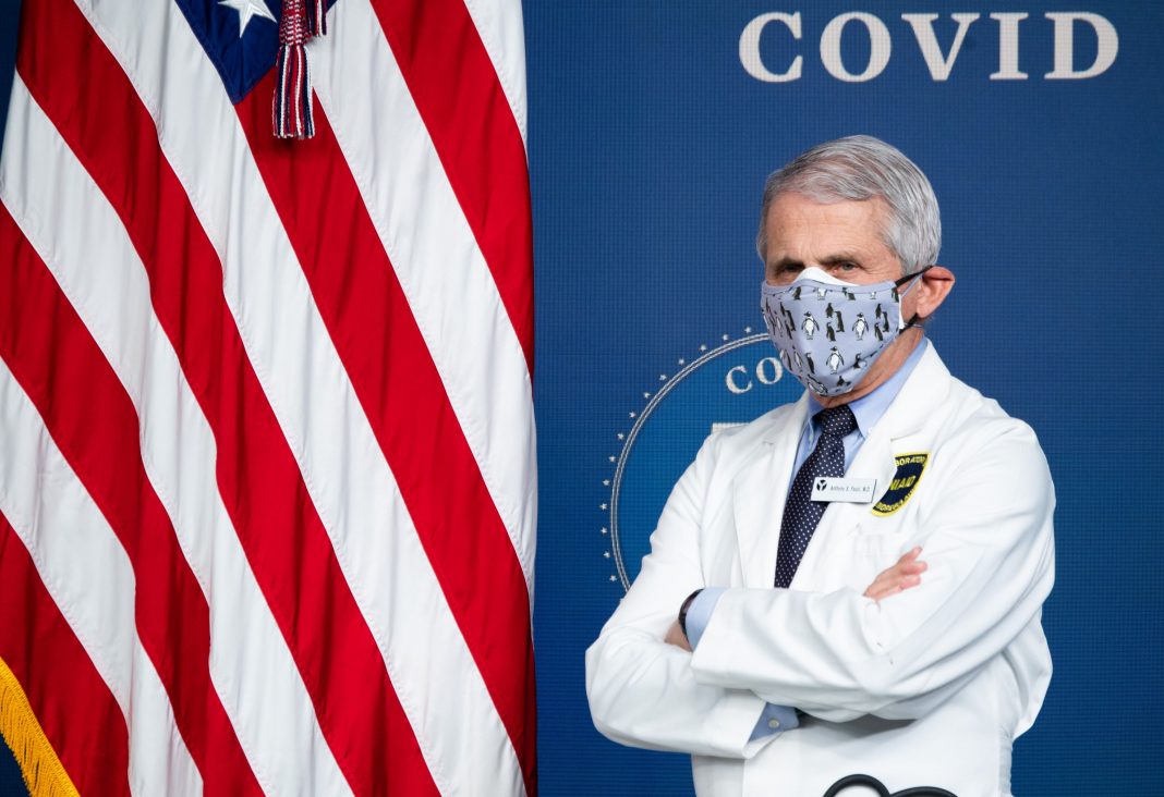 Biden Covid team holds press briefing as U.S. daily cases begin to level off
