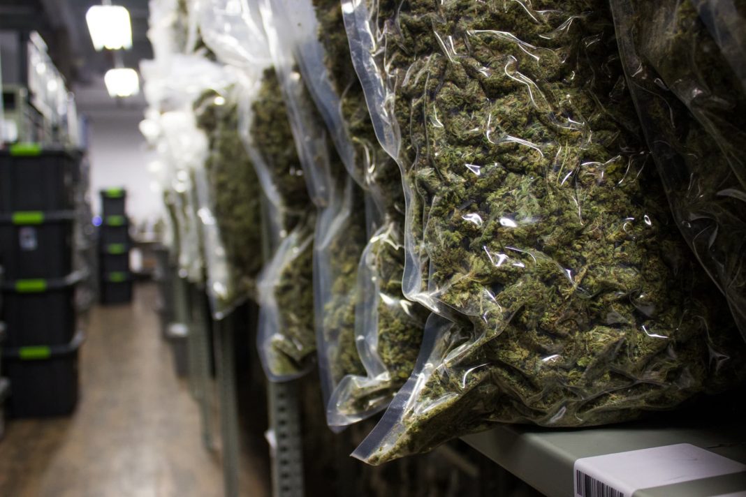 Schumer calls for marijuana to be decriminalized by next year's 420